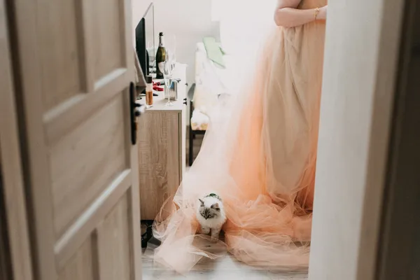 Lucie & Petr, photo 45