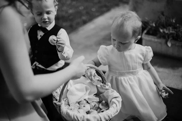 Anna & Vojta, photo 32